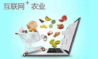 重磅 农业部和商务部联手从10大方面推动农产品电子商务