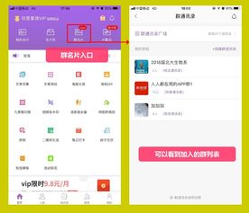 那么多群你真的用好了吗
